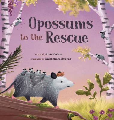 Book cover for Opossums to the Rescue