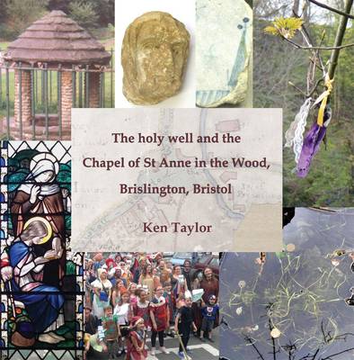 Book cover for The Holy Well and the Chapel of St Anne in the Wood, Brislington, Bristol