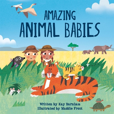 Book cover for Look and Wonder: Amazing Animal Babies