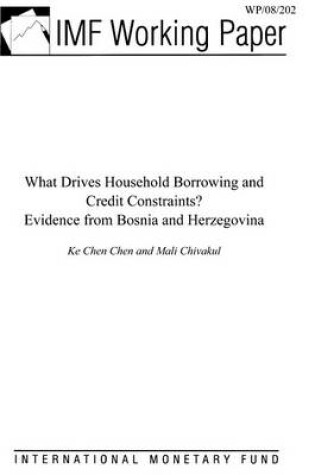 Cover of What Drives Household Borrowing and Credit Constraints? Evidence from Bosnia & Herzegovina