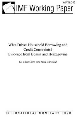 Book cover for What Drives Household Borrowing and Credit Constraints? Evidence from Bosnia & Herzegovina