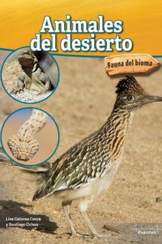 Cover of Animales del Desierto