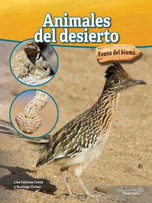 Book cover for Animales del Desierto