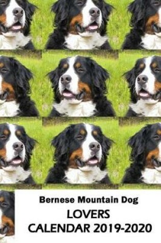 Cover of Bernese Mountain Dog Lovers Calendar 2019-2020