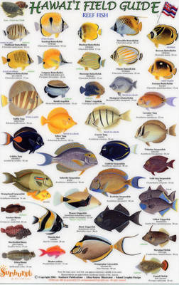 Cover of Reef Fish