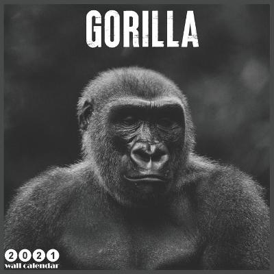 Book cover for Gorilla 2021 Wall Calendar