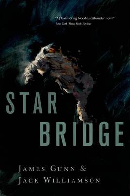 Book cover for Star Bridge