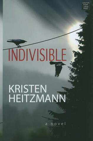 Cover of Indivisible