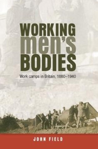 Cover of Working Men's Bodies