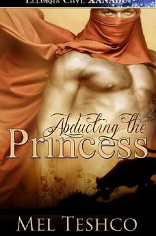 Cover of Abducting the Princess