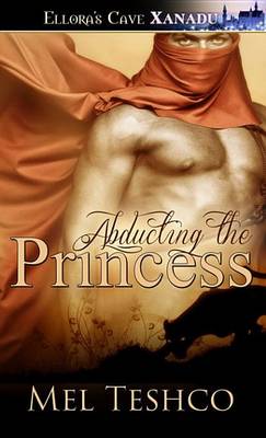 Book cover for Abducting the Princess