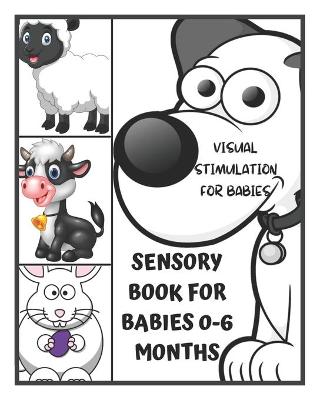 Book cover for Sensory Book for Babies 0-6 Months - Visual Stimulation for Babies