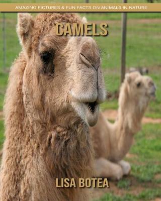 Book cover for Camels