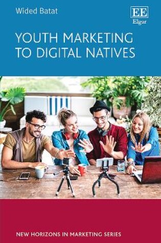 Cover of Youth Marketing to Digital Natives