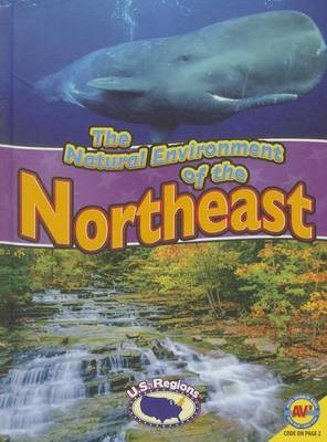 Book cover for The Natural Environment of the Northeast