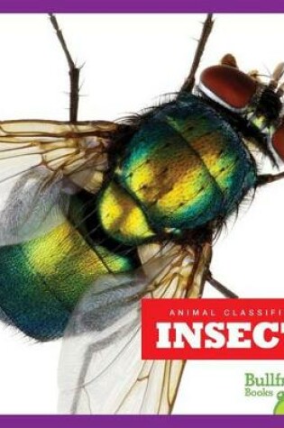 Cover of Insects