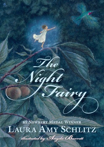 Book cover for The Night Fairy