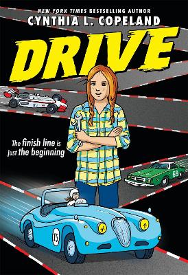 Book cover for Drive