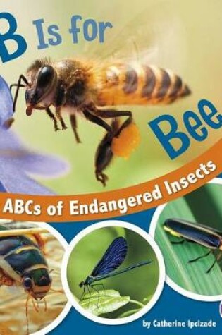 Cover of B Is for Bee