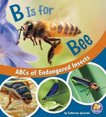 Cover of B Is for Bee