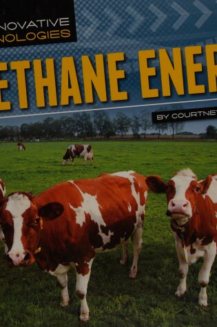 Cover of Methane Energy