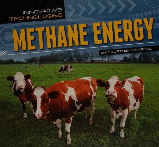 Cover of Methane Energy