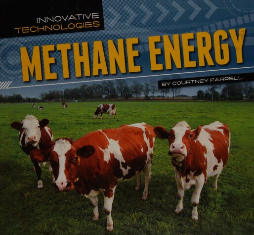 Book cover for Methane Energy