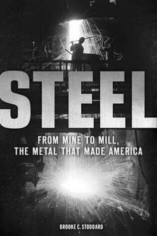 Cover of Steel