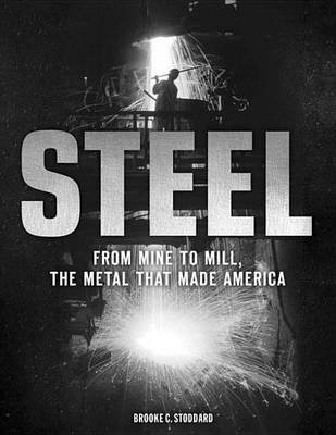 Book cover for Steel