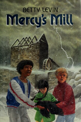 Cover of Mercy's Mill