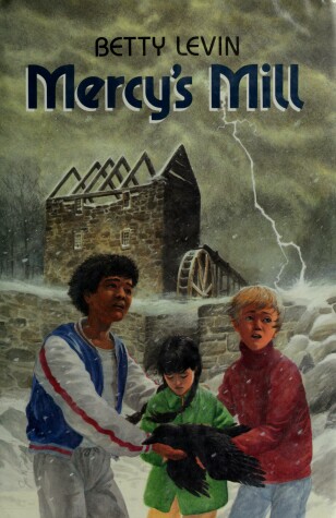 Book cover for Mercy's Mill