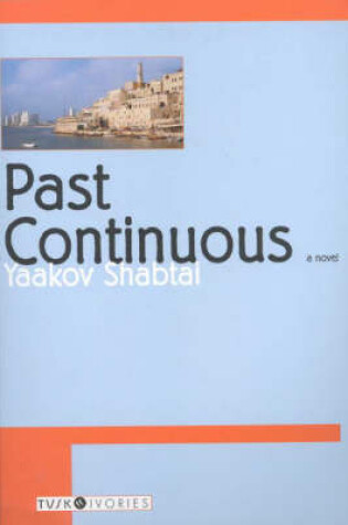 Cover of Past Continuous