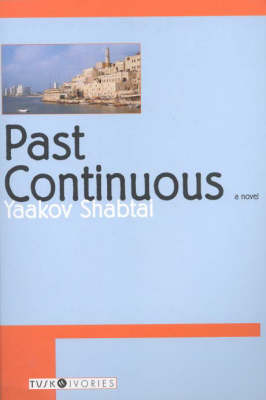 Book cover for Past Continuous