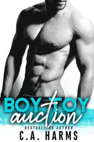 Cover of Boy Toy Auction