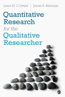 Book cover for Quantitative Research for the Qualitative Researcher