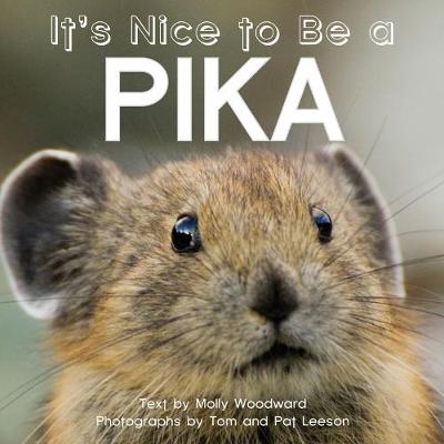 Book cover for It's Nice to Be a Pika