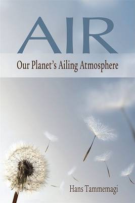 Book cover for Air