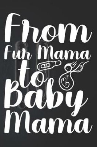 Cover of From Fur Mama To Baby Mama