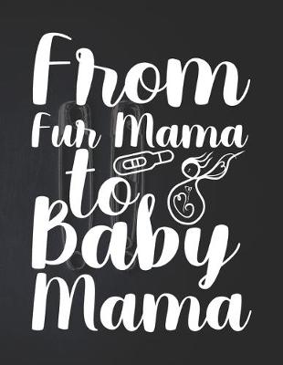 Book cover for From Fur Mama To Baby Mama