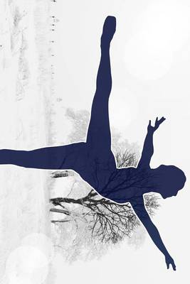 Book cover for A Ballet Dancer Posing