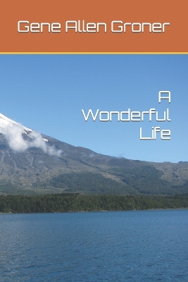 Book cover for A Wonderful Life