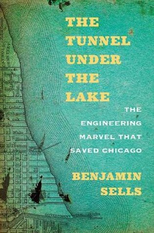 Cover of The Tunnel under the Lake