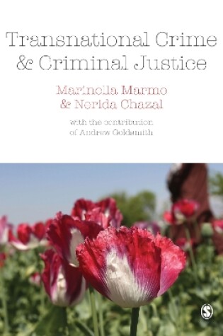 Cover of Transnational Crime and Criminal Justice