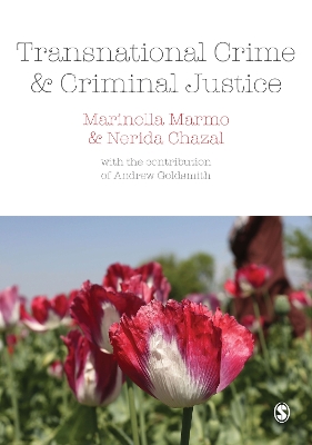 Book cover for Transnational Crime and Criminal Justice