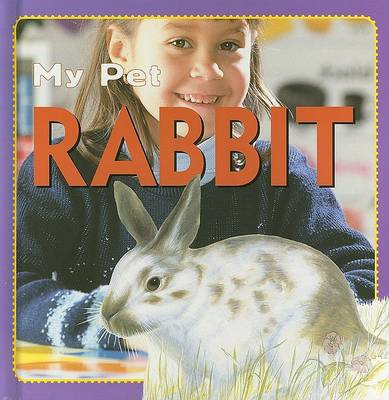 Cover of Rabbit