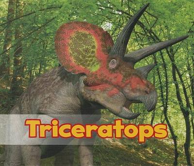 Book cover for All About Dinosaurs Triceratops