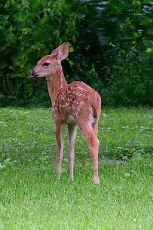 Cover of Twin Fawns in the Forest Notebook