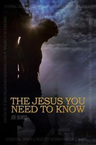 Cover of The Jesus You Need to Know