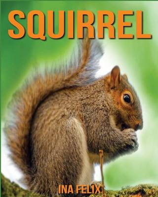 Book cover for Squirrel