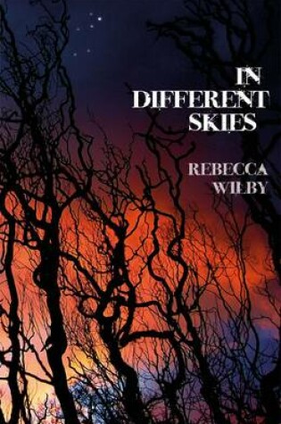 Cover of In Different Skies